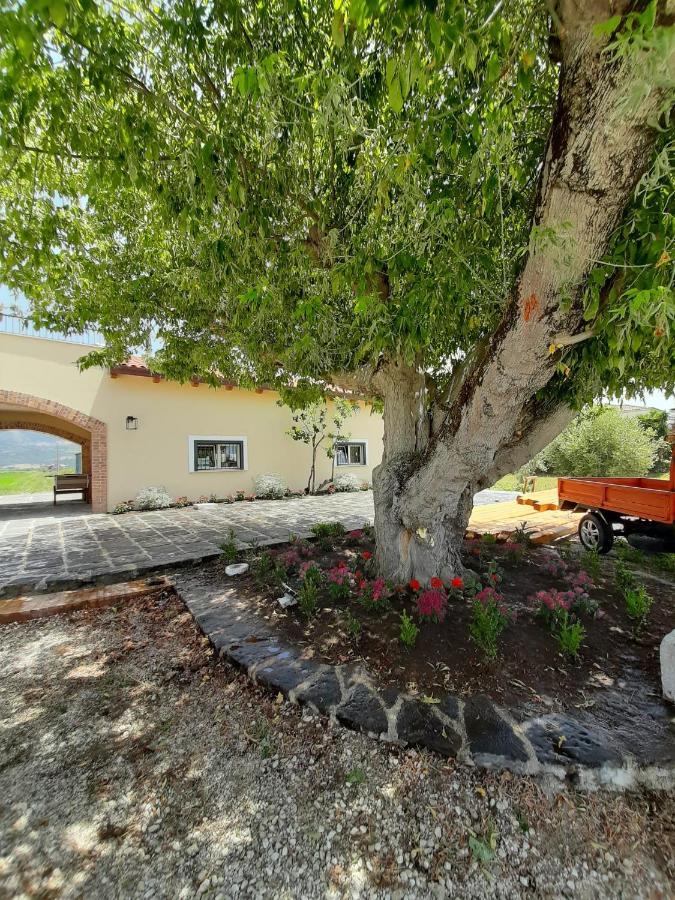 B&B Tenuta San Michele 카파치오페스툼 외부 사진