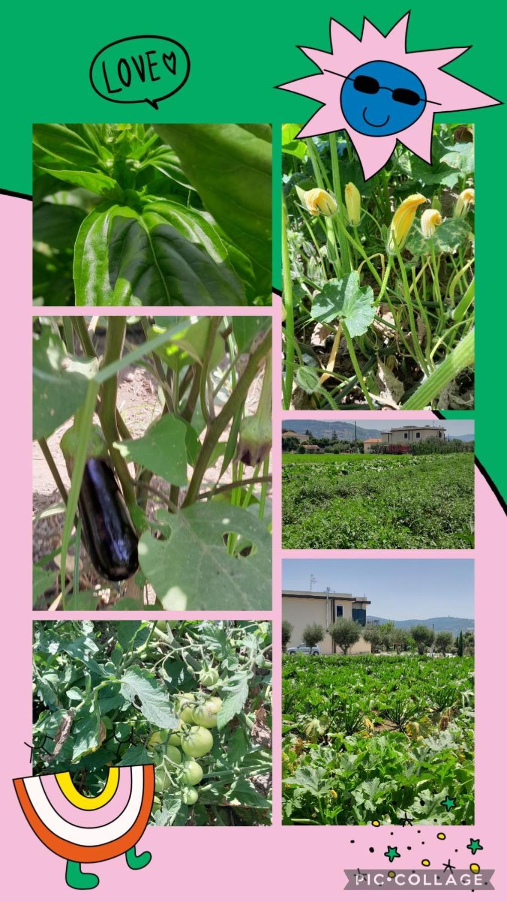 B&B Tenuta San Michele 카파치오페스툼 외부 사진